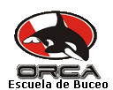 Logo orca 2005